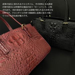 ホーンバッククロコダイル ショルダーバッグ レ...の詳細画像1