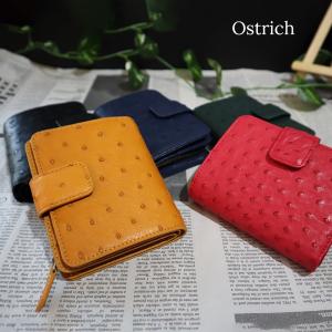 新品　RODANIA オーストリッチ　4連　キーケース　カンパリレッド　ロダニア RODANIA - 新品 RODANIA オーストリッチ 4連 キーケース