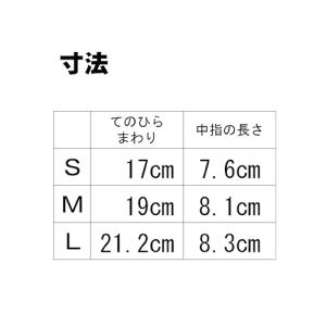 天然ゴム (粉なし) ホワイト 100枚入り《...の詳細画像1