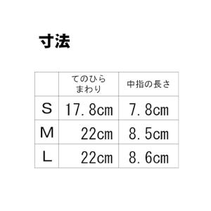 【送料無料】ニトリル (粉付き) 100枚入り...の詳細画像3