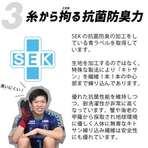 <ネコポス発送 送料無料> アクティバイタル(...の詳細画像3