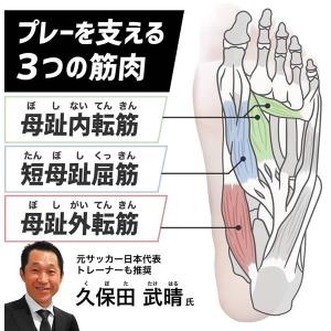 <ネコポス発送 送料無料> アクティバイタル(...の詳細画像5