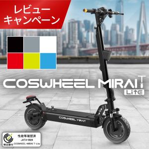 PFL X11 オフロード仕様 公道走行可能 電動キックボード 最高速50km/h