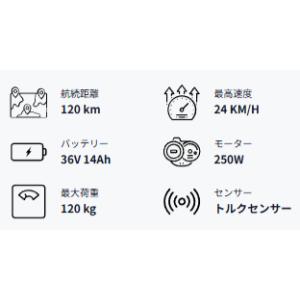 Cyrusher Asuka 電動アシスト自転...の詳細画像3