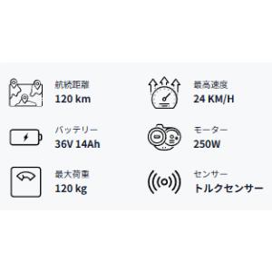 Cyrusher Voyage 電動アシスト自...の詳細画像3