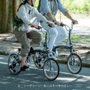 型式認定取得 ASEEL 畳んで転がせる折りた...の詳細画像5