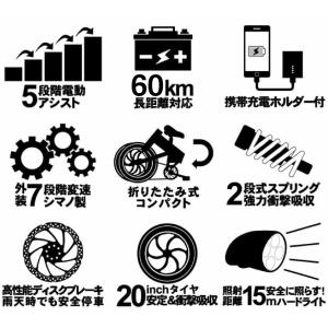 SAMEBIKE 20LVXD30 折りたたみ...の詳細画像5