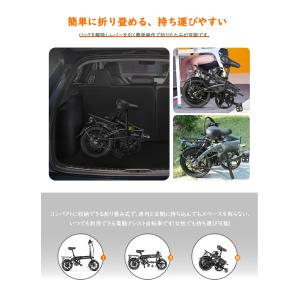 SAMEBIKE YINYU14-II-IT-...の詳細画像5