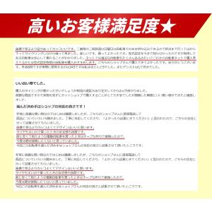 折りたたみ電動アシスト自転車 FAT-01 正...の詳細画像4