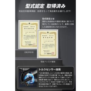 前かご付★ Mantodea 折りたたみ電動ア...の詳細画像3