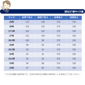 最先端ポリエステル 剣道袴 松勘『閃』NEXTの詳細画像2