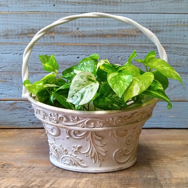 ガーデニング 雑貨 樹脂ポット 軽量 プラスチック鉢 植木鉢 鉢カバー 鉢 プランター アンティーク...