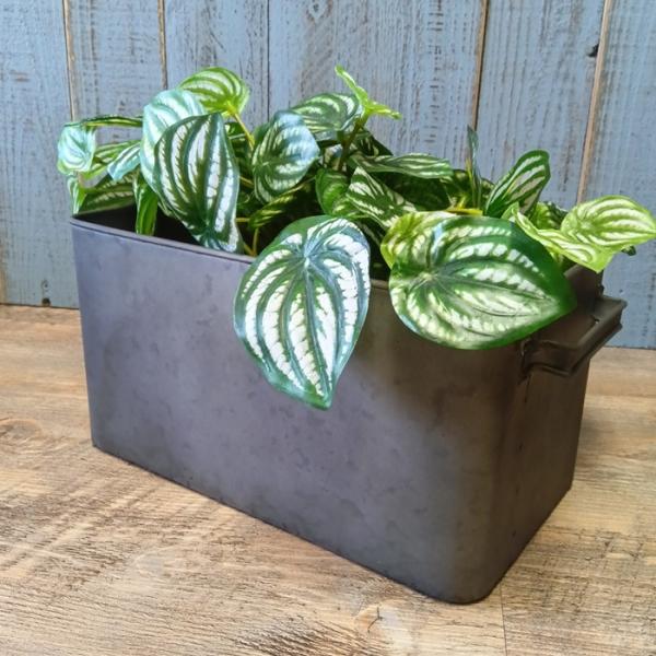 ガーデニング 雑貨 ブリキポット 植木鉢 鉢 鉢カバー プランター ブリキ バケツ アンティーク お...