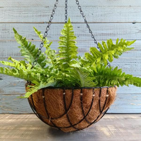 ガーデニング 雑貨 ハンギングバスケット アイアン 吊り下げ 壁掛け アイアン アンティーク ハンギ...