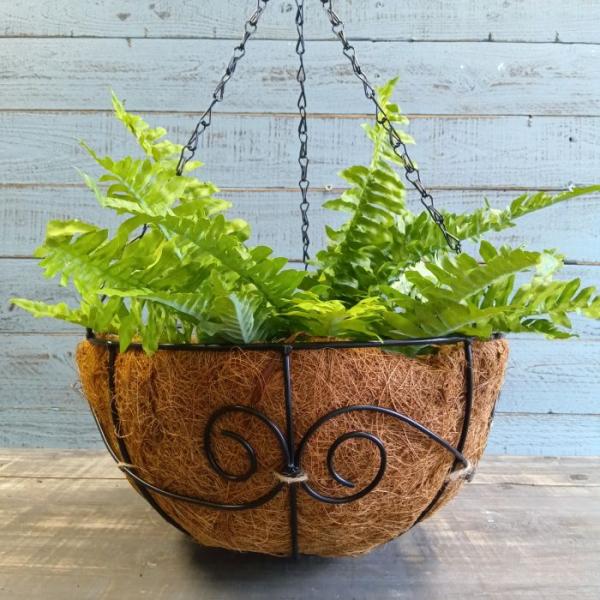 ガーデニング 雑貨 ハンギングバスケット アイアン 吊り下げ 壁掛け アイアン アンティーク ハンギ...