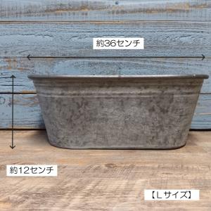 ガーデニング 雑貨 ブリキポット 植木鉢 鉢 ...の詳細画像1