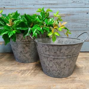 次回未定】ガーデニング 雑貨 ブリキポット 植木鉢 鉢 鉢カバー