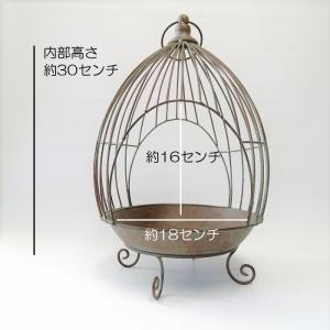 ガーデニング 雑貨 プランツケージ バードケー...の詳細画像2