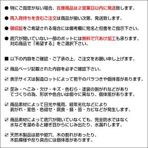 ガーデニング 雑貨 シーグラス 水草 バッグ ...の詳細画像5
