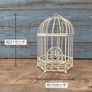 ガーデニング 雑貨 プランツケージ バードケー...の詳細画像1
