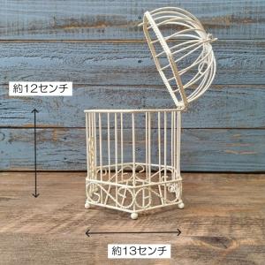 ガーデニング 雑貨 プランツケージ バードケー...の詳細画像2
