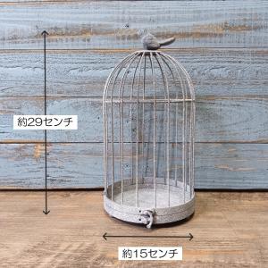 ガーデニング 雑貨 プランツケージ バードケー...の詳細画像1