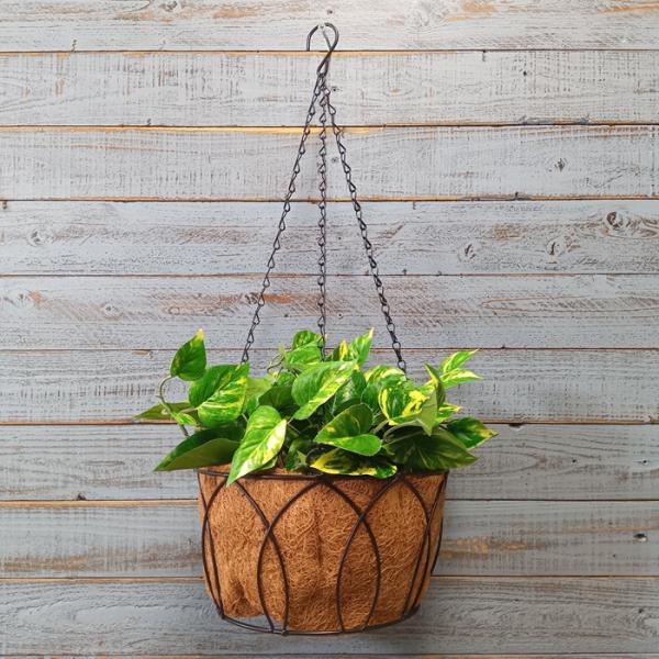 ガーデニング 雑貨 バスケット かご 動物 ワイヤー アイアン アンティーク アンティーク おしゃれ...