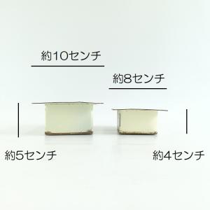 ガーデニング 雑貨 ブリキポット 植木鉢 鉢 ...の詳細画像2
