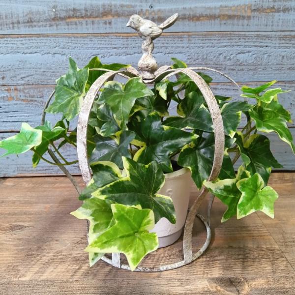 ガーデニング 雑貨 プランツケージ バードケージ 鳥かご 庭 ガーデン 置物 飾り アンティーク お...