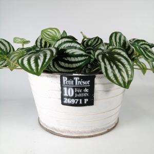 ガーデニング 雑貨 ブリキポット 植木鉢 鉢 鉢カバー プランター