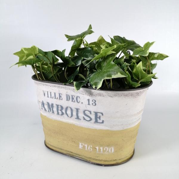 ガーデニング 雑貨 ブリキポット 植木鉢 鉢 鉢カバー プランター ブリキ バケツ アンティーク お...