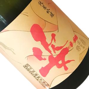 姿 純米吟醸 原酒 艶すがた 720ml クール推奨 日本酒 清酒 四合瓶 栃木 飯沼銘醸 秋季 あですがた