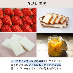 アルコール 除菌 スプレー パストリーゼ77 ...の詳細画像5