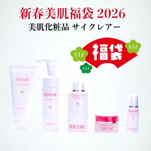 SK-II（エスケーツー） 【並行輸入品】福袋 プレミアム美肌福袋 2026