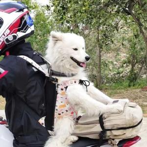 ペット 抱っこひも 犬 猫 抱っこ紐 スリング...の詳細画像4