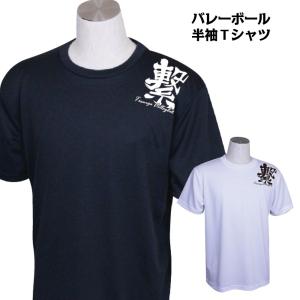 バレーボール ウェア 半袖 ジュニア 練習着 Tシャツ 「繋｜sabspo