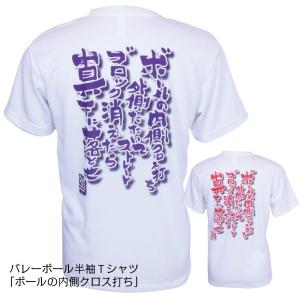 バレーボール ウェア 半袖 メンズ Tシャツ  「クロス打ち」