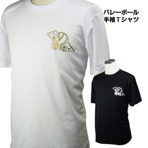 バレーボール ウェア 半袖 メンズ Tシャツ 「雲に球」 左胸ワンポイントマーク