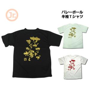 バレーボール ウェア 半袖 ジュニア 練習着 Tシャツ 「サーブカット」｜sabspo