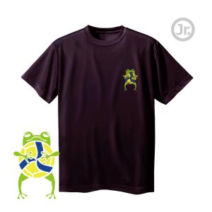 バレーボール ウェア 半袖 ジュニア 練習着 Tシャツ 「KAERU」　左胸ワンポイントマーク NORTHISLAND｜sabspo