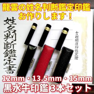 【龍雲式鑑定印鑑 黒水牛印鑑 3本セット B】12mm 13.5mm 15ｍｍ 吉相体 印鑑オーダー 開運 強運 印鑑 姓名判断 黒水牛 良質 天然 実印 銀行印 通帳印 認印