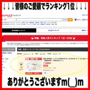 盛塩 盛り塩 しっかり八角錐が作れる 八角 盛...の詳細画像1