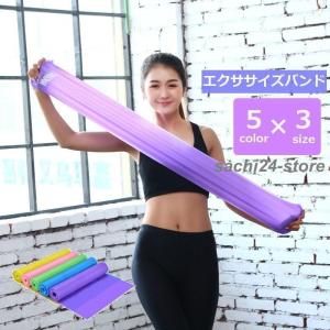 エクササイズバンド トレーニングチューブ フィットネス トレーニング ストレッチ 筋トレ ヨガ ピラティス ダイエット 運動 自宅 家庭 簡単 便利｜sachi24-store