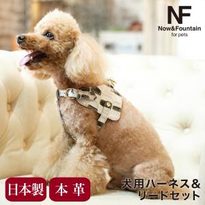 エヌアンドエフ ペット ハーネス＆リードセット 小型犬 ハーネス ボディベルト リード レザー 本革 日本製 N＆F for pets TYPE-B ジュエリータイル｜sacsbar