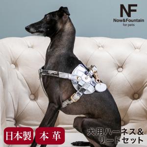 エヌアンドエフ ペット ハーネス＆リードセット 小型犬 ハーネス ボディベルト リード レザー 本革 日本製 N＆F for pets TYPE-C ジュエリータイル｜sacsbar