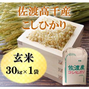 高知県 四万十町産 仁井田米 玄米 約30kg (令和7年産新米）本州