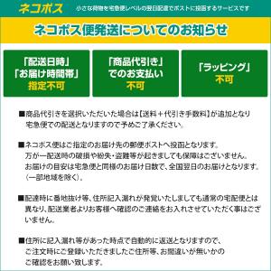 【ネコポス配送・送料無料】ハクバ XC-PRO...の詳細画像2