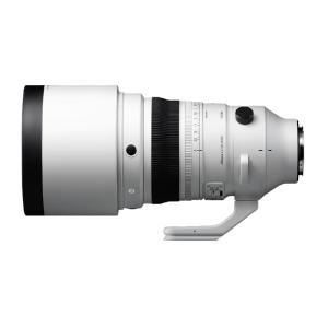 美品SIGMA14-24mm F2.8 DG DN Art SONY Ｅマウント シグマ シグマ(Sigma) 14-24mm F2.8 DG DN | Art(アート) ソニー