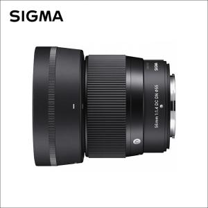 シグマ シグマ(Sigma) 14-24mm F2.8 DG DN | Art(アート) ソニー