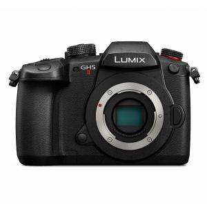 LUMIX パナソニック(Panasonic) LUMIX(ルミックス) ミラーレス一眼
